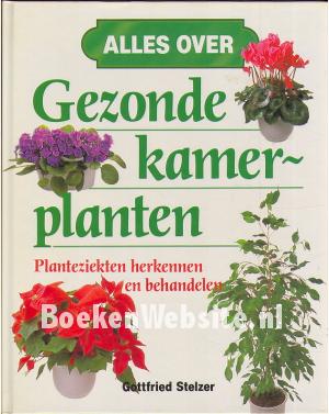 Gezonde kamerplanten