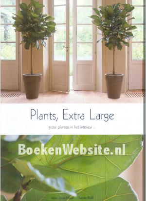 Grote planten in het interieur