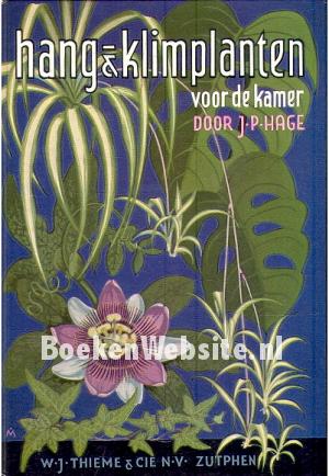 Hang & klimplanten voor de kamer Hang & klimplanten voor de kamer