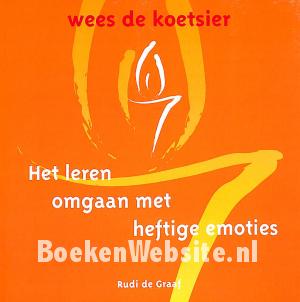 Het leren omgaan met heftige emoties