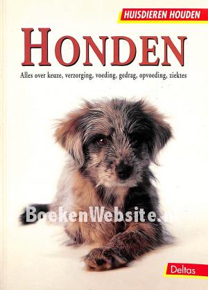 Honden Honden