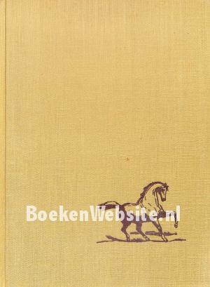 Horses Horses Horses Horses