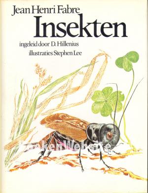 Insekten Insekten