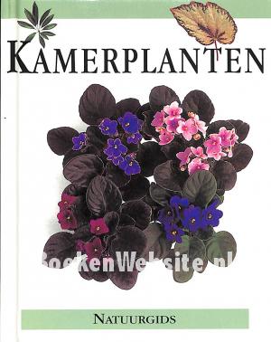 Kamerplanten Kamerplanten