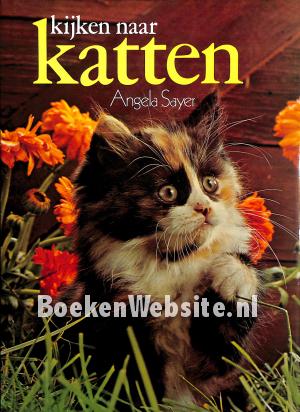 Kijken naar katten