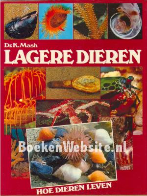 Lagere dieren Lagere dieren