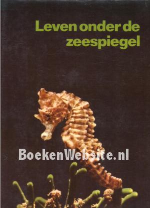 Leven onder de zeespiegel