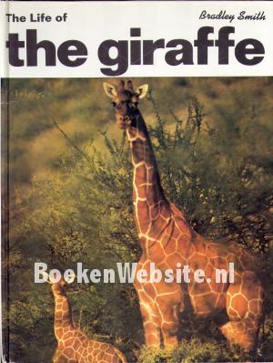 The Life of the Giraffe