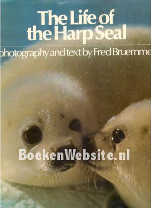 The Life of the Harp Seal
