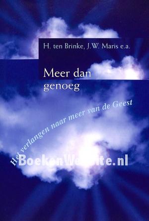 Meer dan genoeg Meer dan genoeg