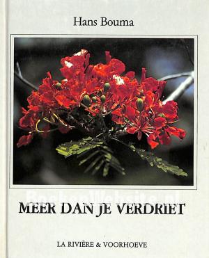 Meer dan je verdriet