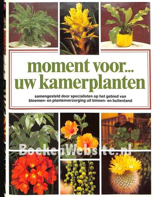 Moment voor uw kamerplanten Moment voor uw kamerplanten
