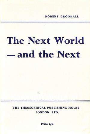 The Next World and the Next