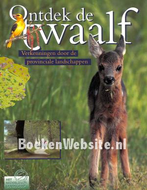 Ontdek de twaalf