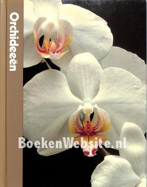 Orchideeën Orchideeën