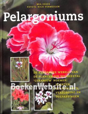 Pelargoniums