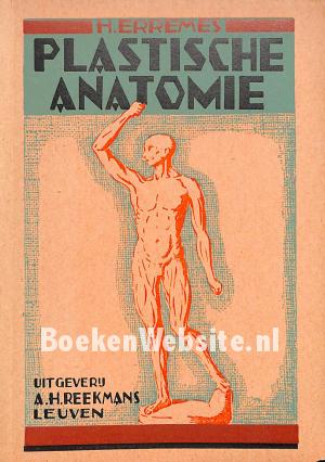 Plastische anatomie