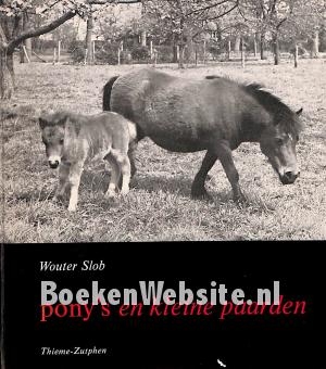 Pony's en kleine paarden