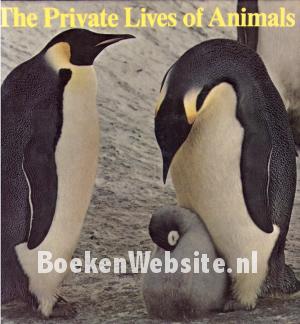 The Private Lives of Animals