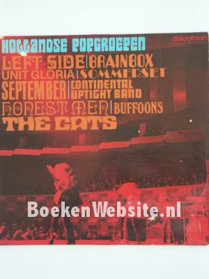 Image of Hollandse Popgroepen
