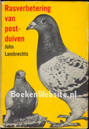 Rasverbetering van postduiven Rasverbetering van postduiven