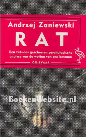Rat