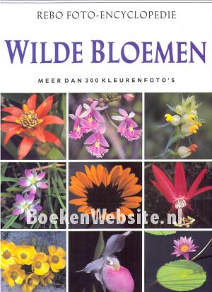 Rebo foto encyclopedie Wilde Bloemen