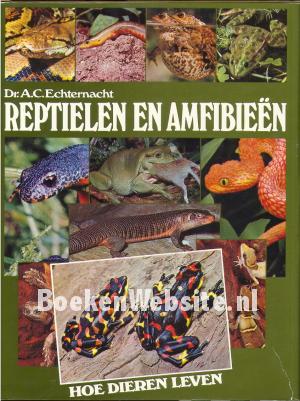 Reptielen en Amfibieën Reptielen en Amfibieën