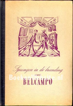 Sprongen in de branding