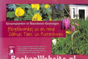 Stinzenplanten in Noordwest-Groningen