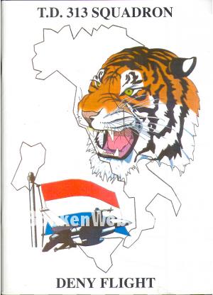 T.D. 313 Squadron, Deny Flight