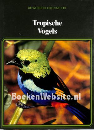 Tropische Vogels