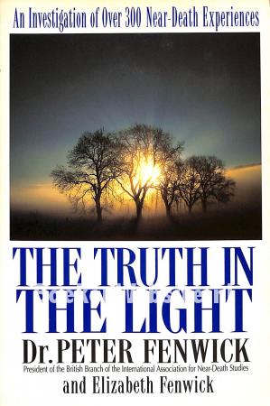 The Truth in the Light The Truth in the Light