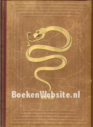 Uit de praktijk van een chirurg