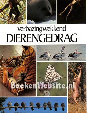 Verbazingwekkend Dierengedrag Verbazingwekkend Dierengedrag