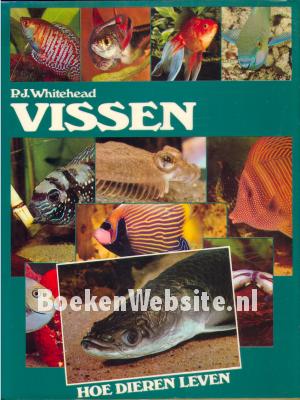 Vissen Vissen