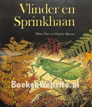 Vlinder en Sprinkhaan Vlinder en Sprinkhaan