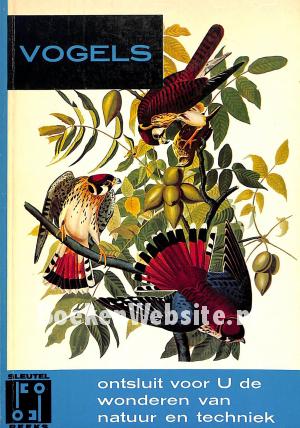 Vogels Vogels