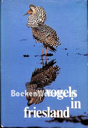 Vogels in Friesland I