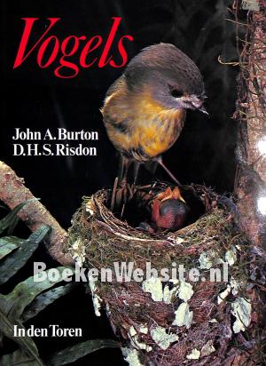 Vogels Vogels