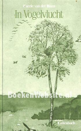 In vogelvlucht In vogelvlucht