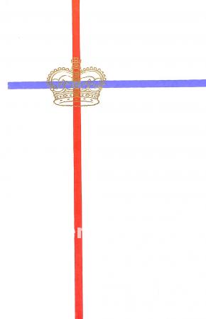 Vorstenhuizen in onze tijd Vorstenhuizen in onze tijd