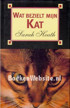 Wat bezielt mijn kat Wat bezielt mijn kat