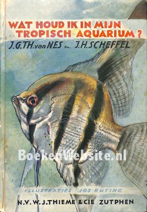 Wat houd ik in mijn tropische aquarium ? Wat houd ik in mijn tropische aquarium ?