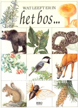 Wat leeft er in het bos...