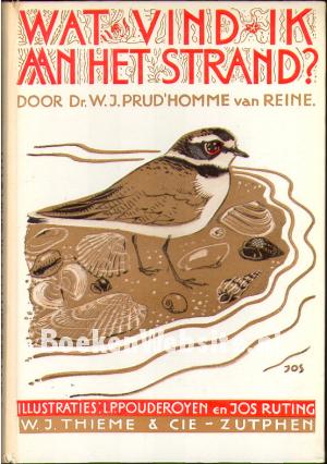 Wat vind ik aan het strand?