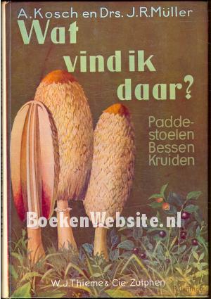 Wat vind ik daar? Wat vind ik daar?