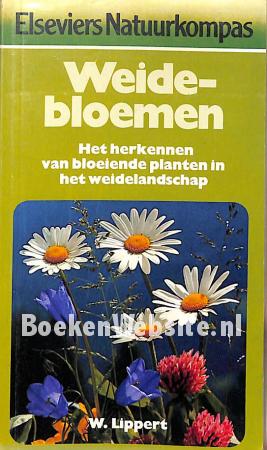 Weidebloemen Weidebloemen