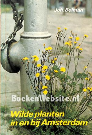 Wilde planten in en bij Amsterdam