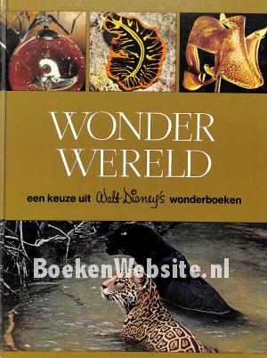 Wonderwereld